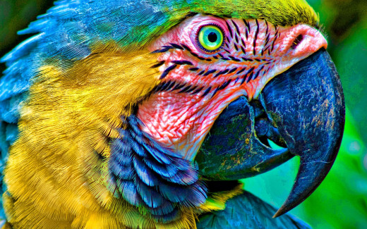 501668 (a): :1680x1050